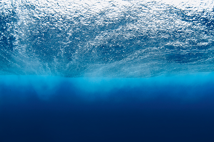 Sous la surface d’une vague, au large de la Martinique © Mathieu Foulquié / Biosphoto