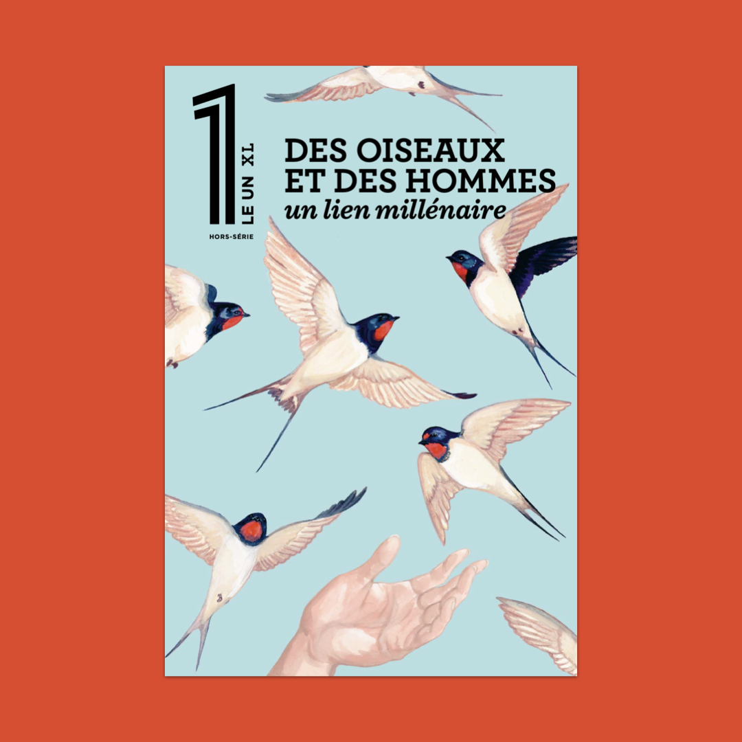 Des oiseaux et des hommes : le nouveau 1 XL