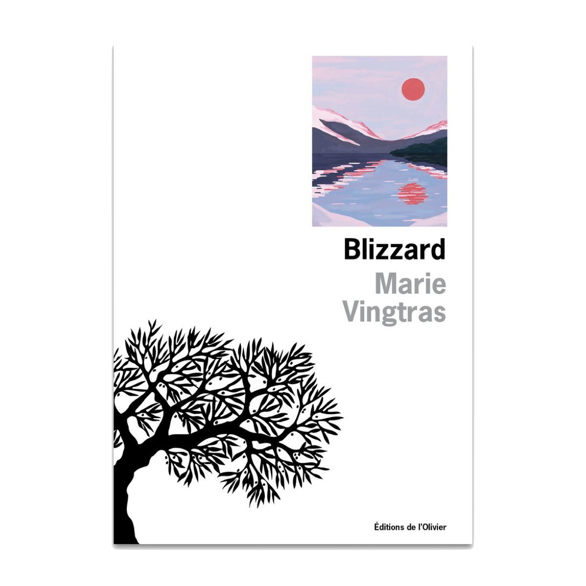 Marie Vingtras, lauréate du Prix des libraires avec son roman « Blizzard »